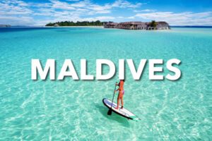Maldives B2B
