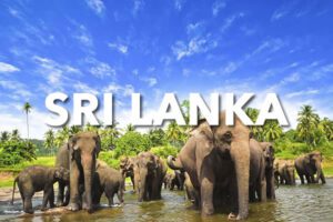 Sri Lanka B2B Travel